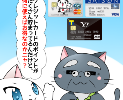 白猫が博士に 「クレジットカードのポイントがたくさん貯まってるんだけど、何に使えばお得なのかニャ？」 と聞いているシーン（背景に楽天カードやYahoo!JAPANカード、セゾンカードインターナショナルがある）