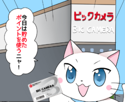 背景にビックカメラがあり、 白猫が「今日は貯めたポイントを使いニャ！」 とビックカメラのポイントカードを持ちながら店に入っていくシーン