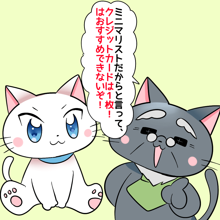 博士が白猫に 『ミニマリストだからと言って、クレジットカードは1枚!はおすすめできないぞ!』 と言っているイラスト
